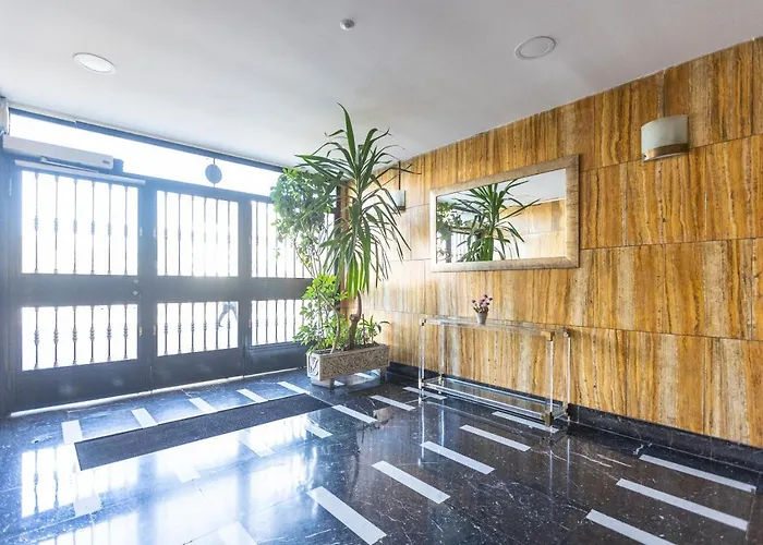 ¡recién Publicado!amezola -